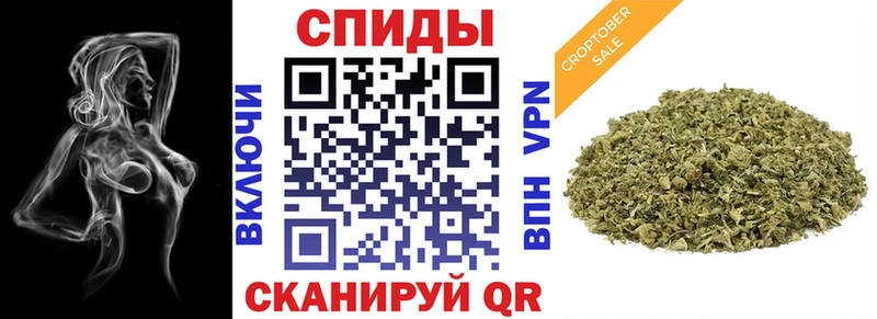 Бутират буратино  Домодедово 