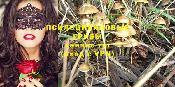 стаф Алексеевка
