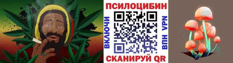 Галлюциногенные грибы MAGIC MUSHROOMS Домодедово